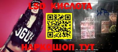 крисы Новодвинск