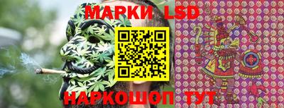 крисы Новодвинск