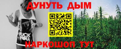 крисы Новодвинск