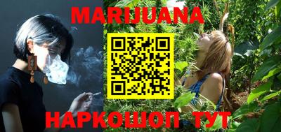 крисы Новодвинск