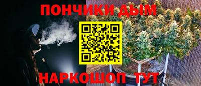 крисы Новодвинск