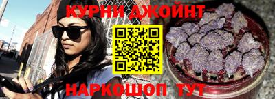 крисы Новодвинск